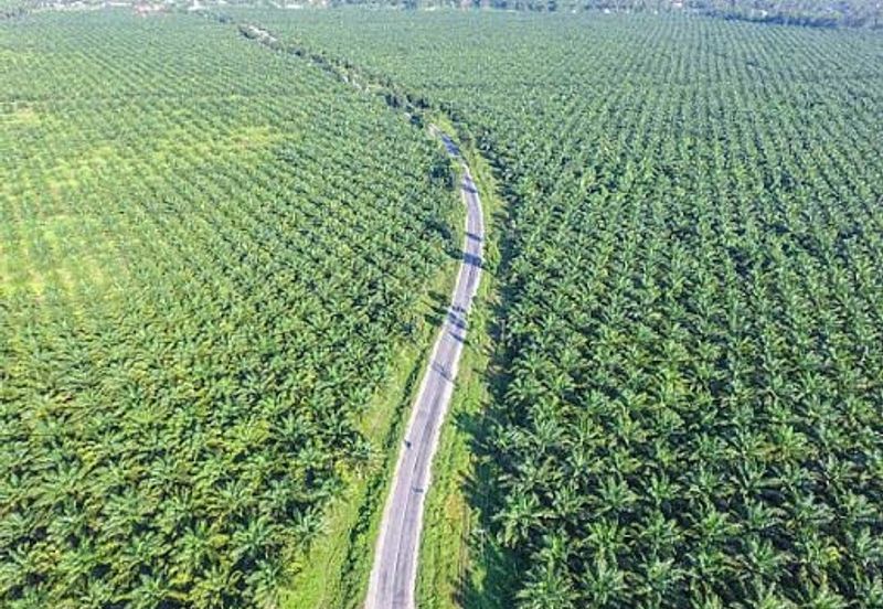 Bestari Jaya , Batang Berjuntai , Jaya Setia @ Rawang  Agriculture land 4 acres Freehold