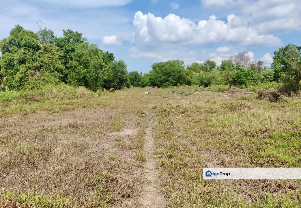 Kuala Selangor, Selangor, Kuala Selangor