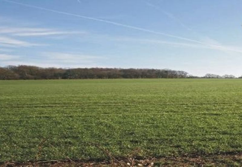 Seri Kembangan @ Serdang 