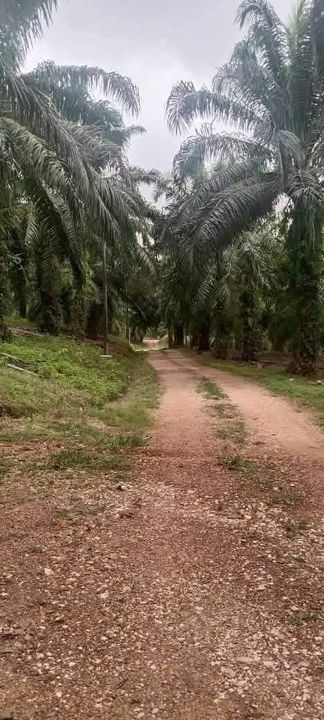 Batu Yon , Kuala Lipis @ Pahang , Pahang, Kuala Lipis