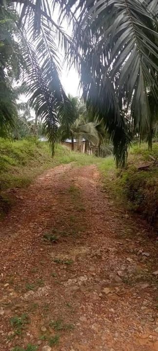 Batu Yon , Kuala Lipis @ Pahang , Pahang, Kuala Lipis