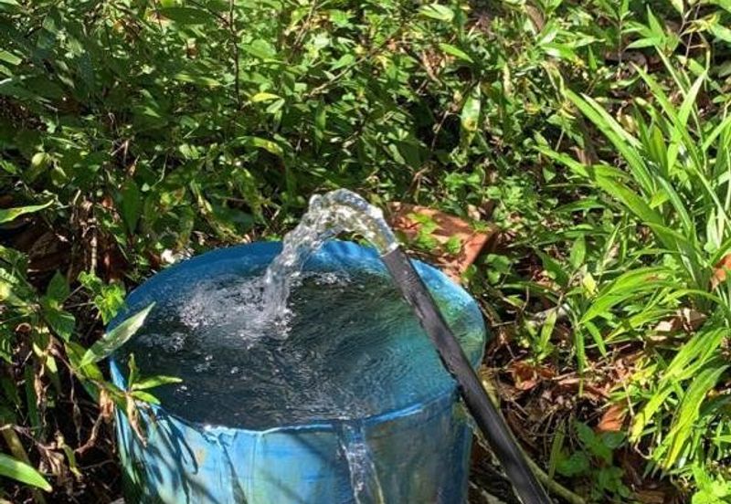 Jalan Bharu, Balik Pulau