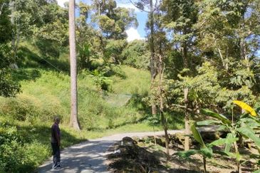 Jalan Bharu, Balik Pulau