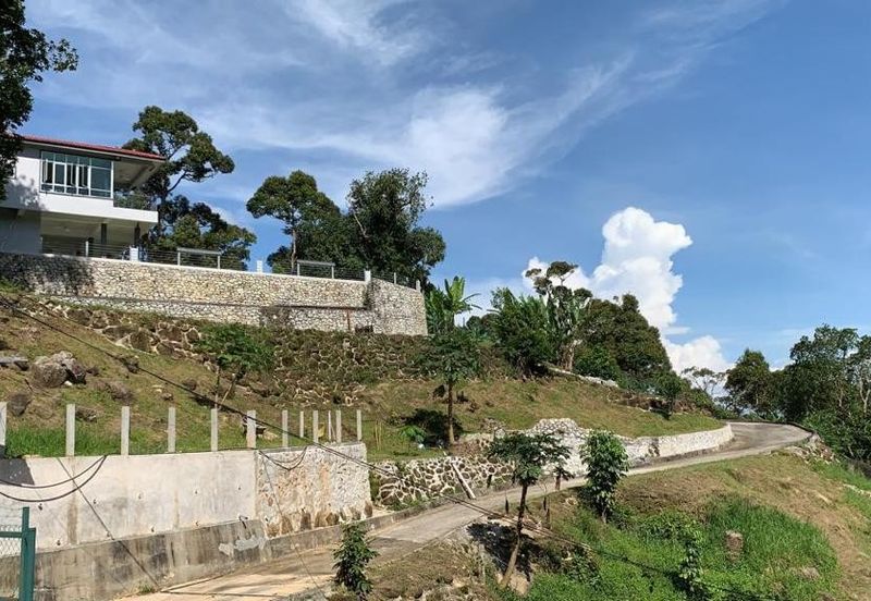 Jalan Bharu, Balik Pulau