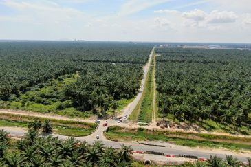 Bukit Changang , Kuala Langat @ Sepang , KLIA
