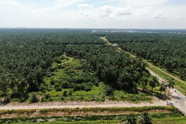 Bukit Changang , Kuala Langat @ Sepang , KLIA