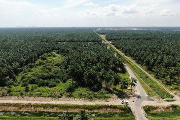 Bukit Changang , Kuala Langat @ Sepang , KLIA