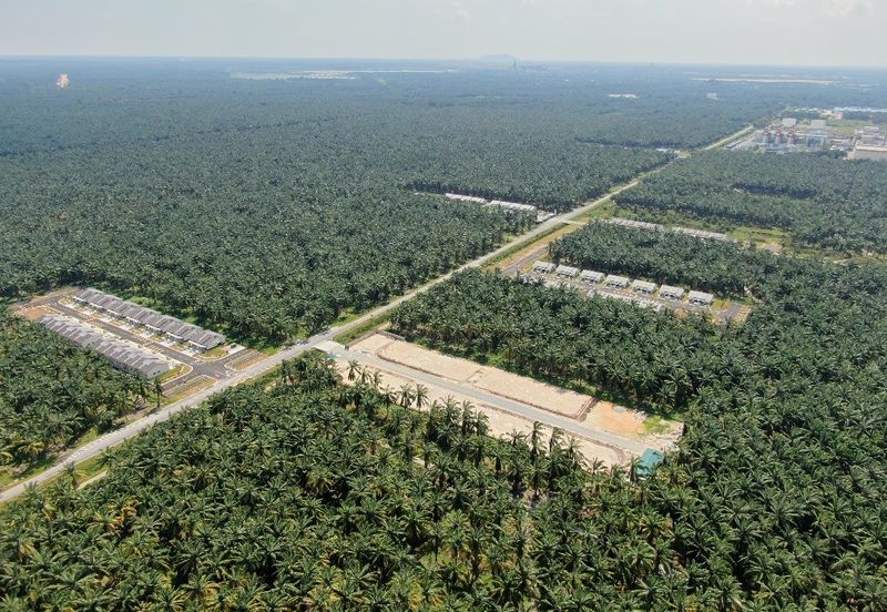 Bukit Changang , Kuala Langat @ Sepang , KLIA