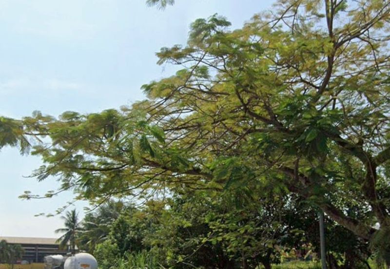 Taman Industri Indah, Country Home, Rawang