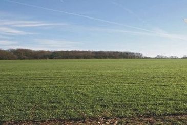 Seri Kembangan @ Serdang 