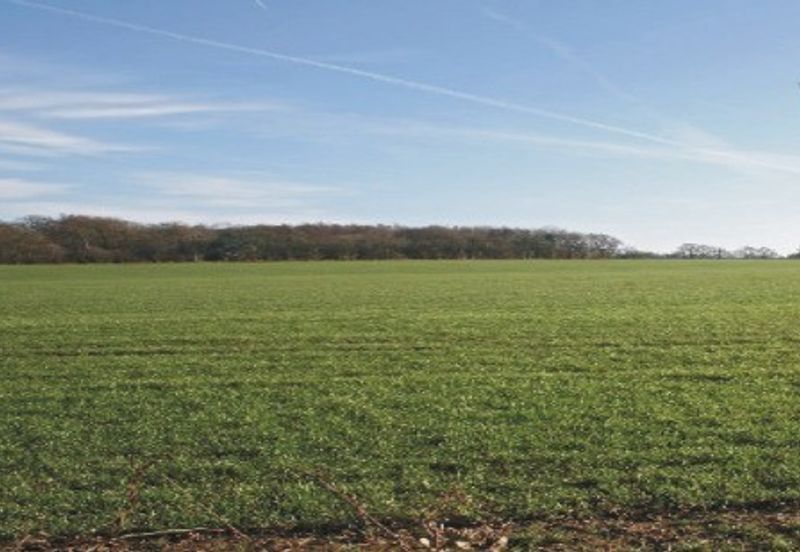Sri Batu Caves @ Sri Gombak