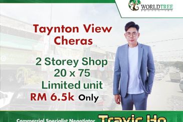 Taman Taynton View
