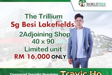 The Trillium @Lake Fields