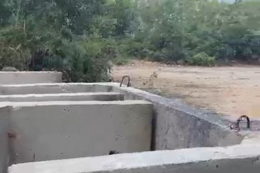 Kampung Baru Balakong