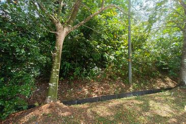 TAMAN DURIAN TUNGGAL