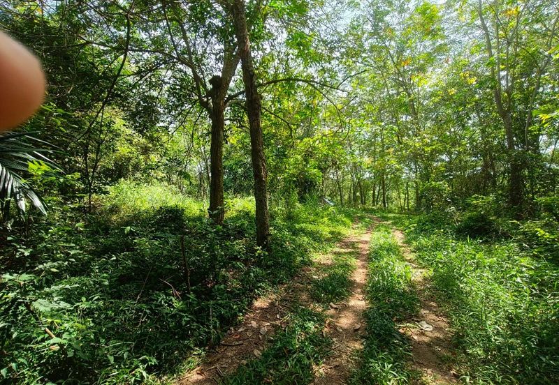 TAMAN DURIAN TUNGGAL