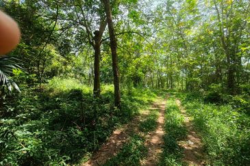 TAMAN DURIAN TUNGGAL