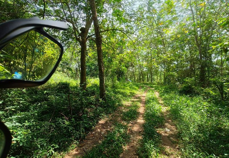 TAMAN DURIAN TUNGGAL