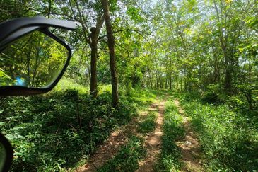 TAMAN DURIAN TUNGGAL