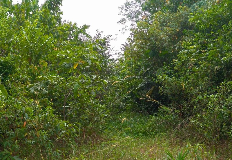 TAMAN DURIAN TUNGGAL