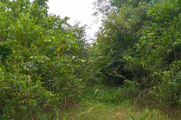 TAMAN DURIAN TUNGGAL