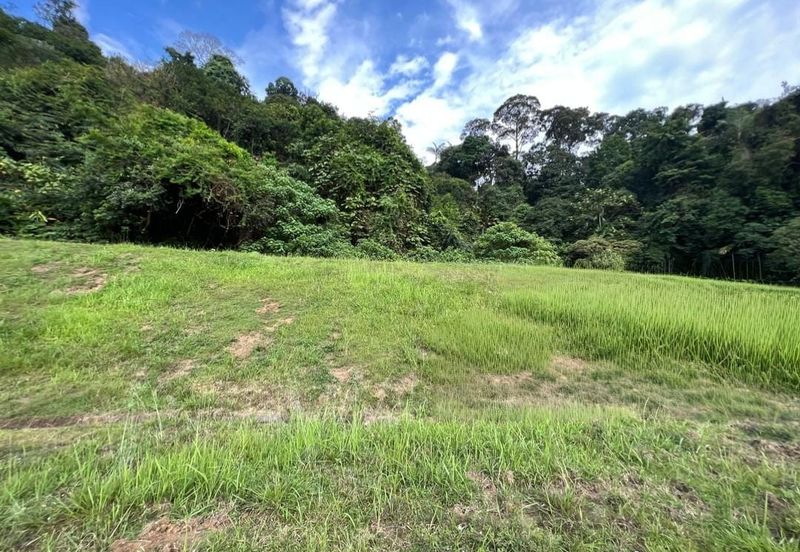 The Peak @ Taman TAR