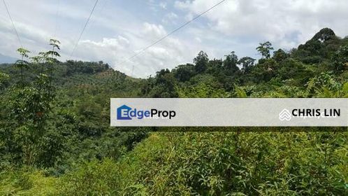 Bentong Pahang 文冬 Agricultural Land, Pahang, Bentong