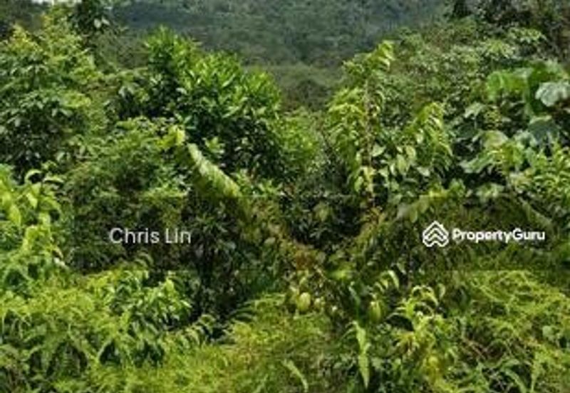 Taman Bentong Makmur