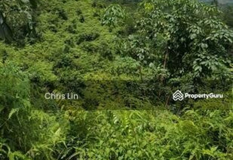 Taman Bentong Makmur