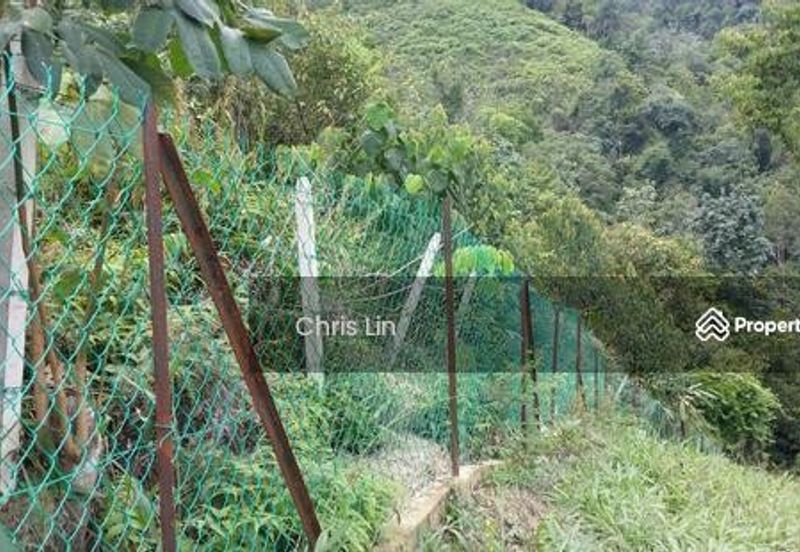 Taman Bentong Makmur