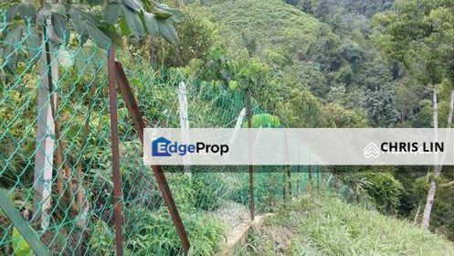 Bentong Pahang 文冬 Agricultural Land, Pahang, Bentong