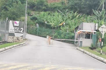 Bayu Heights 2