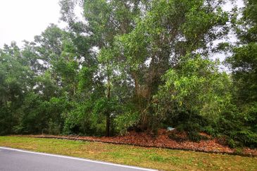 NILAI IMPIAN (LAMAN AKASIA)