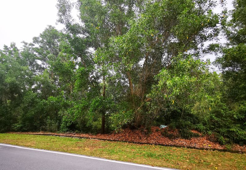 NILAI IMPIAN (LAMAN AKASIA)