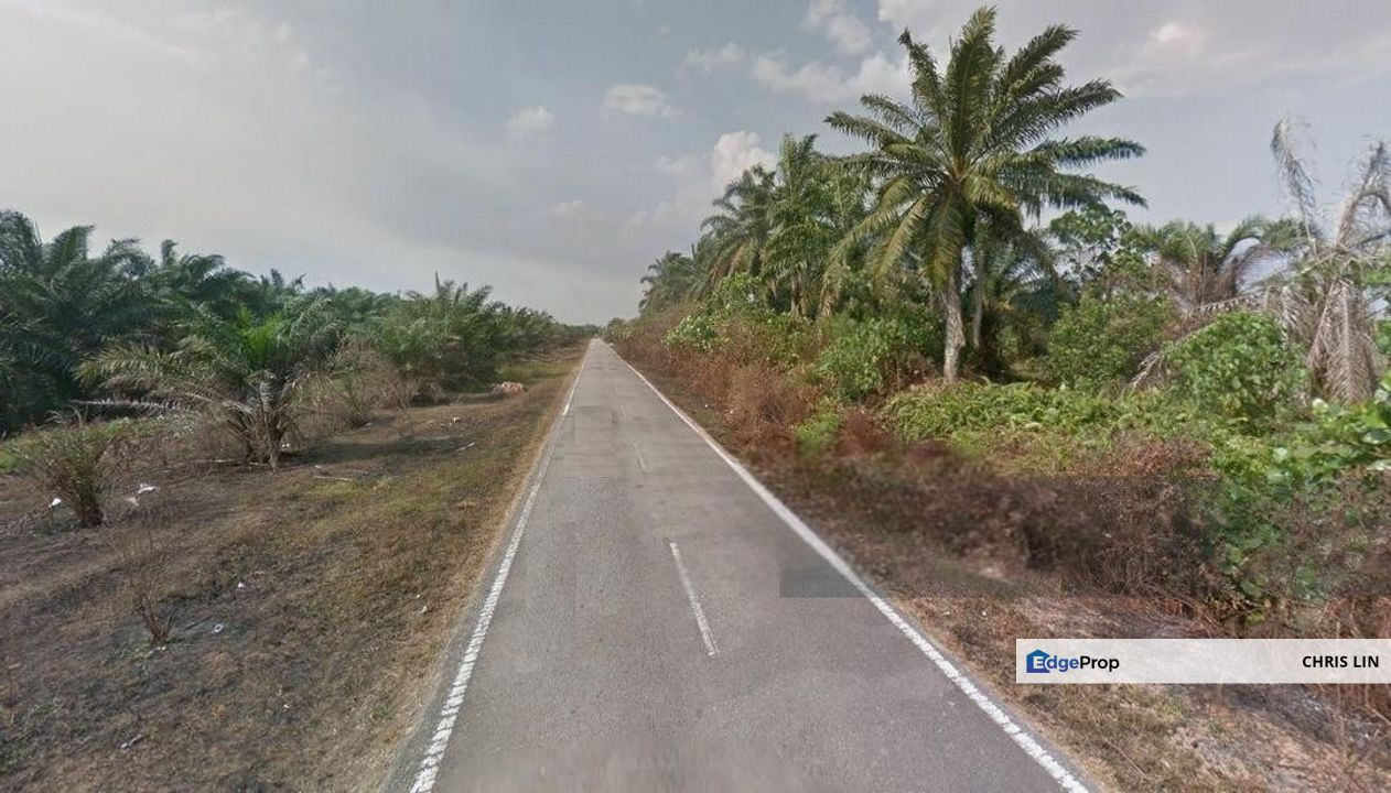 Sepang, Tanjung Sepat, Lake District Orchard, Sepang, Tanjong Sepat
Agricultural Land, Lake District Orchard,, Selangor, Sungai Pelek