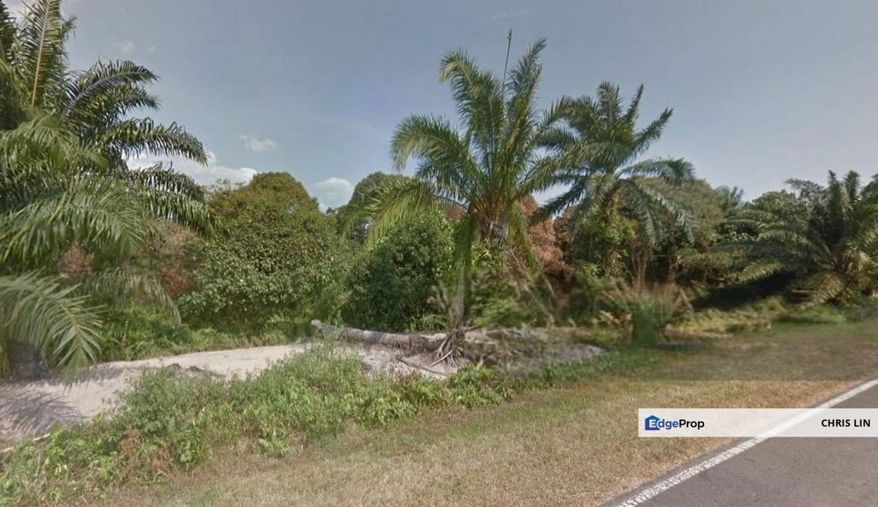 Sepang, Tanjung Sepat, Lake District Orchard, Sepang, Tanjong Sepat
Agricultural Land, Lake District Orchard,, Selangor, Sungai Pelek