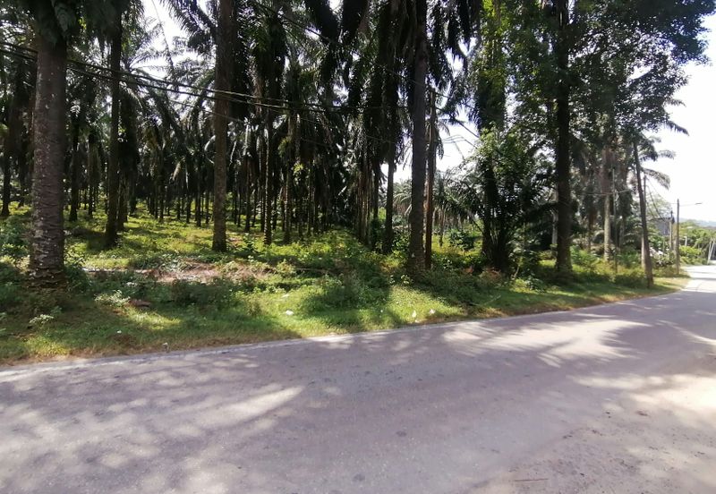 Kuang Industrial Park