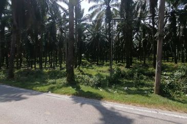 Kuang Industrial Park