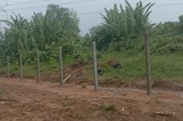 Freehold Agricultural land @ Tapah, Perak for sale