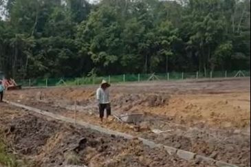 Freehold Agricultural land @ Tapah, Perak for sale