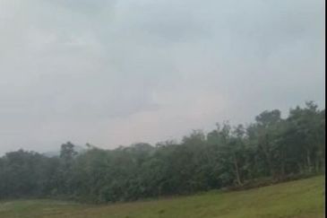 Freehold Agricultural land @ Tapah, Perak for sale