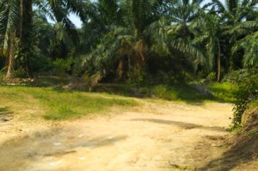 Agricultural / Development land @ Jeram, Kuala Selangor for sale