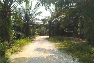 Agricultural / Development land @ Jeram, Kuala Selangor for sale