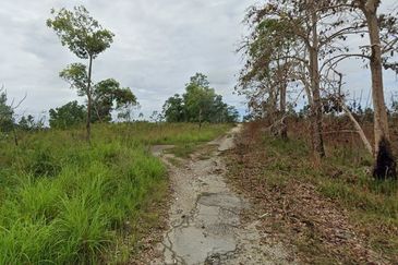 Sungai Gumut ( Lembah Beringin )