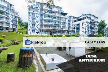 Desa anthurium, Tanah Rata, Cameron Highland (Easy Rent 250-350/day), Pahang, Tanah Rata
