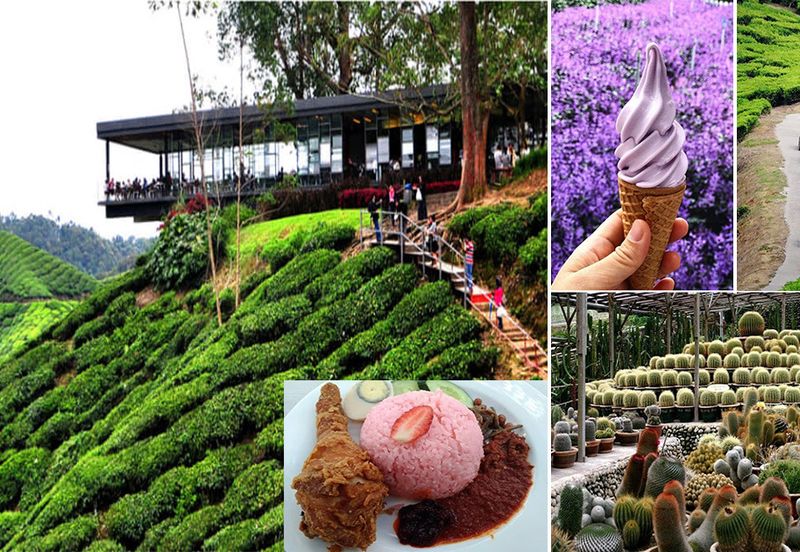 Palas Horizon (New Phase) cameron highland (up to ROI 7%)