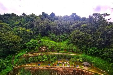 The Trees, Bukit Lanjan