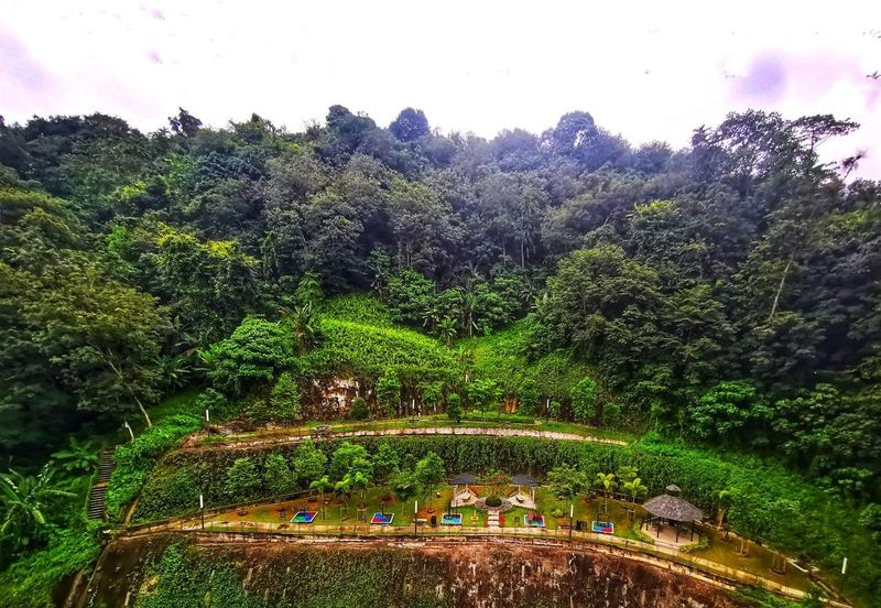 The Trees, Bukit Lanjan