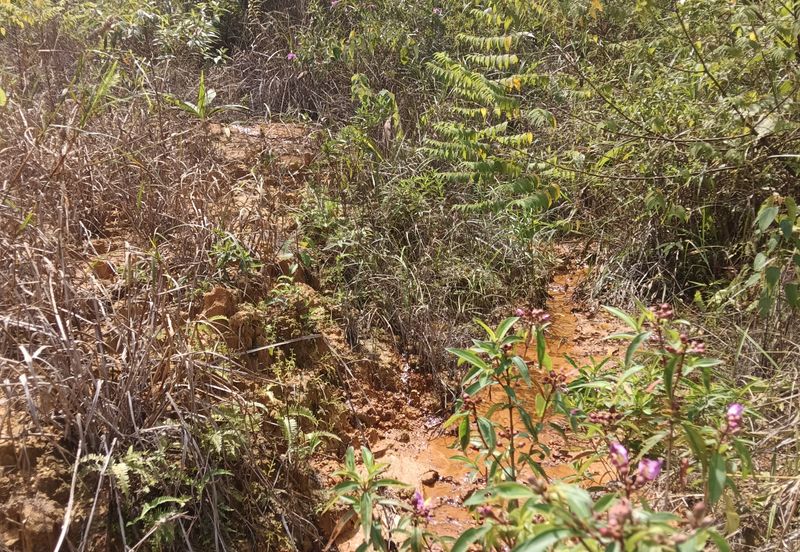 Kampung Sungai Merab Luar