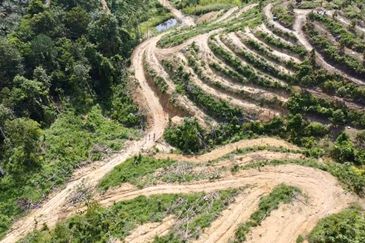 Desa Damai Bentong , Desa Damai, Raub, Pahang